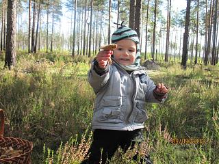 ДАЧА-img_0495.jpg