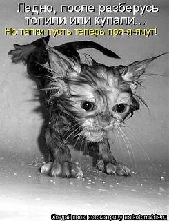Повышатель настроения-n.jpg