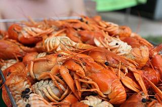 Пиво-img_5711.jpg