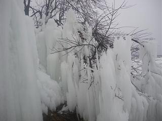 Красивые фотографии сделанные членами клуба-imgp0177.jpg