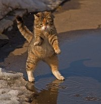 Название: kSuCpcfj1iw.jpg
Просмотров: 247

Размер: 10.2 Кб