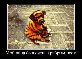 Повышатель настроения-cr4x_z7iuvu.jpg