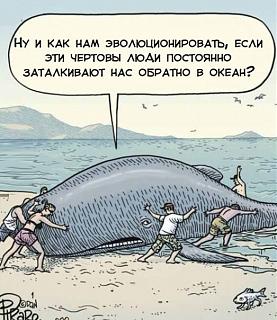 Повышатель настроения-ol62hullnf4.jpg