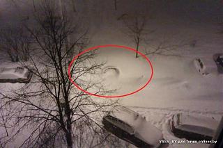 Ну и погодка!-09738494b4a43ab81c015c761a137cb8.jpg