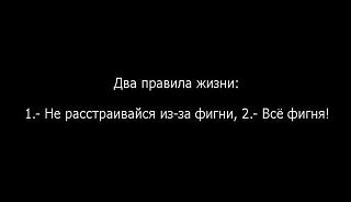 Повышатель настроения-wd6nobawyeo.jpg