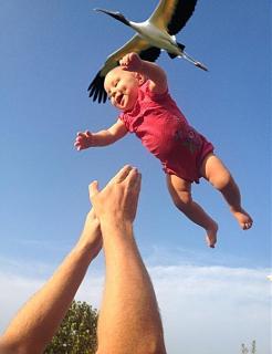 Повышатель настроения-nwddccldr4w.jpg