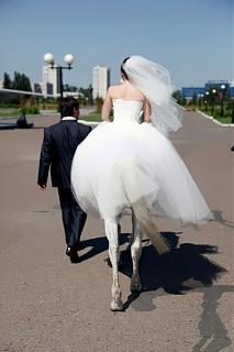 Повышатель настроения-xsvgybcm_gs.jpg