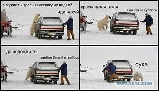 Пикчи на автомобильную тему-.jpg
