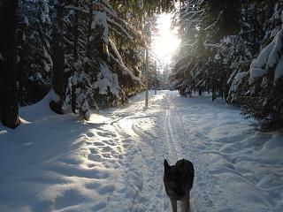 Ну и погодка!-dsc04140.jpg