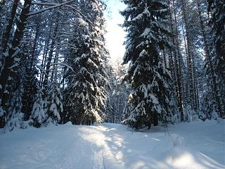 Ну и погодка!-dsc04141.jpg
