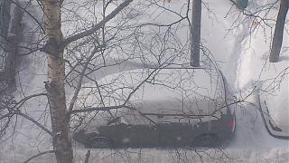 Что хорошего произошло за день?-dsc_0137.jpg