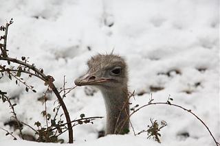 Красивые фотографии сделанные членами клуба-img_3374.jpg
