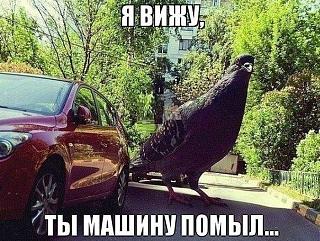 Пикчи на автомобильную тему-18.jpg