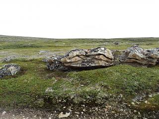 Красивые фотографии сделанные членами клуба-dsc00209.jpg