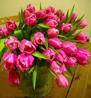 Марина Коткова - с Днём рождения!-orig_20a55df61fa583613641115c8617b092.jpg
