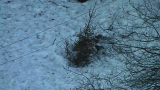 Что хорошего произошло за день?-imga0922.jpg
