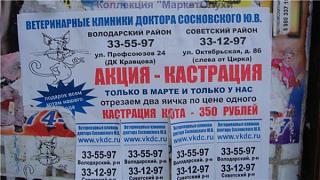 Повышатель настроения-66701_600.jpg