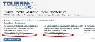 Повышатель настроения-touran.jpg