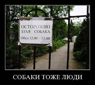 Братья наши меньшие-owrr53aq32k.jpg