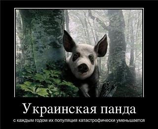 Повышатель настроения-h-1340.jpg