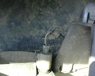 Глупые вопросы про Туран-img0865a.jpg