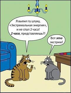 Братья наши меньшие-hgwcywd-v6w.jpg