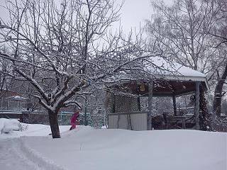ДАЧА-img_20121209_130859.jpg