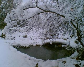 ДАЧА-foto025.jpg