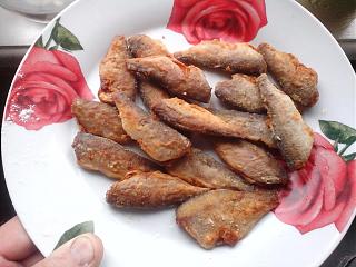 Братья наши меньшие-img_20130504_105203.jpg