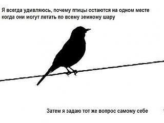 Волшебная дверь-rgxvzf2fwyk.jpg