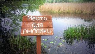 Повышатель настроения-hjlt7bzskc4.jpg