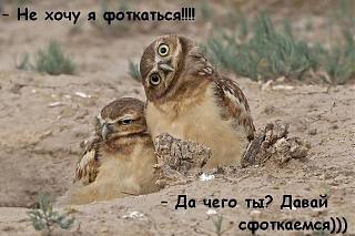 Братья наши меньшие-nqcfjmz8ad0.jpg