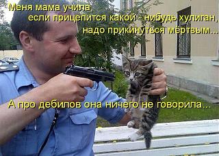 Анекдоты на отвлеченные темы-.jpg