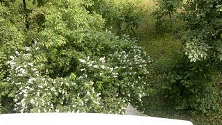 Что хорошего произошло за день?-08062013.jpg