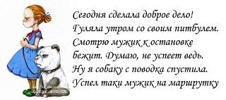 Братья наши меньшие-lroojkhsthq.jpg