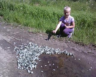 ДАЧА-img0891a.jpg