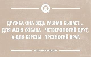 Повышатель настроения-hkxpy8ykiou.jpg