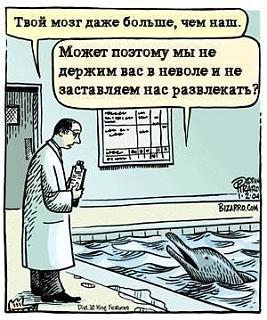 Братья наши меньшие-h9pxivcq9ce.jpg