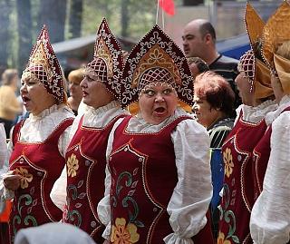 Повышатель настроения-vasilisa.jpg
