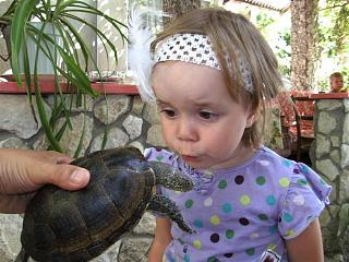 Красивые фотографии сделанные членами клуба-pict6461.jpg