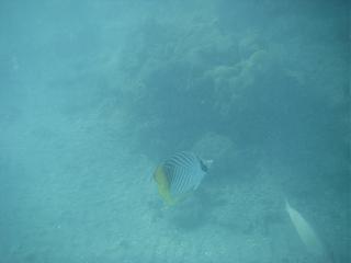 Семейный отдых на море-2013-186-.jpg