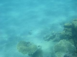 Семейный отдых на море-2013-208-.jpg