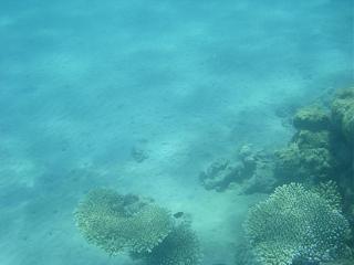 Семейный отдых на море-2013-208-.jpg