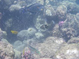 Семейный отдых на море-2013-250-.jpg