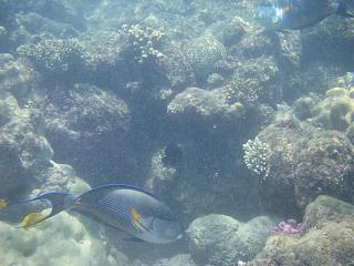 Семейный отдых на море-2013-252-.jpg