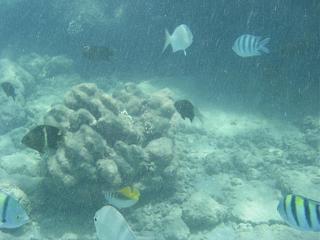 Семейный отдых на море-2013-254-.jpg