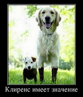 ДАЧА-klirens.jpg