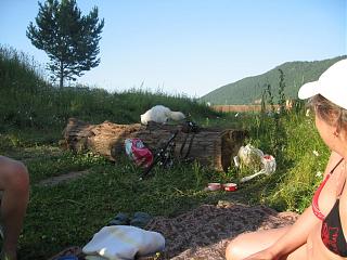 Братья наши меньшие-img_4345.jpg