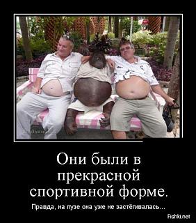 Повышатель настроения-dem04.jpg
