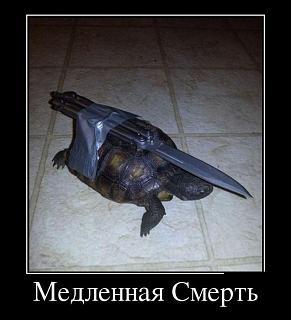 Повышатель настроения-1.jpg